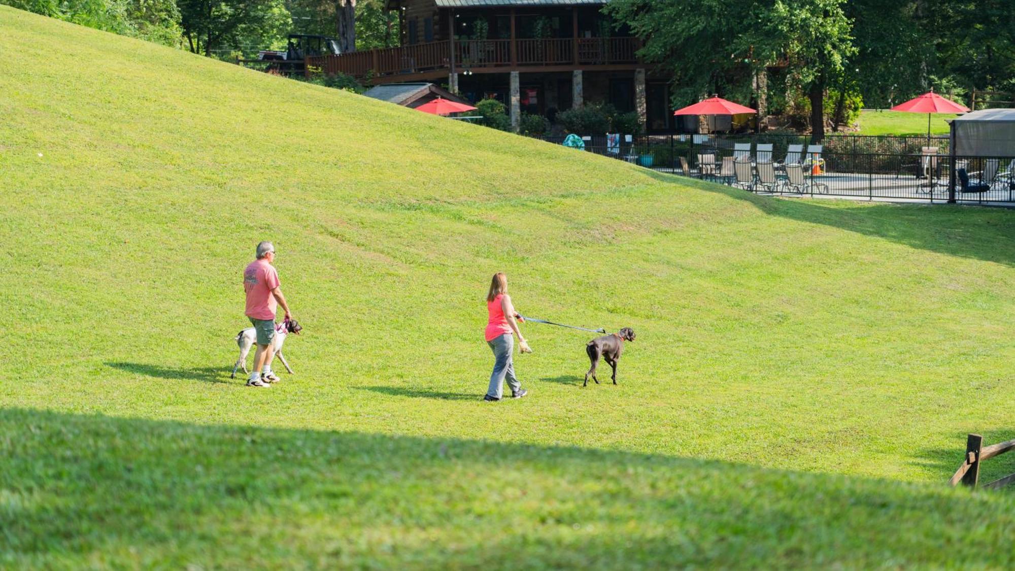 Horseshoe Hideaway เซอเวียร์วีล ภายนอก รูปภาพ